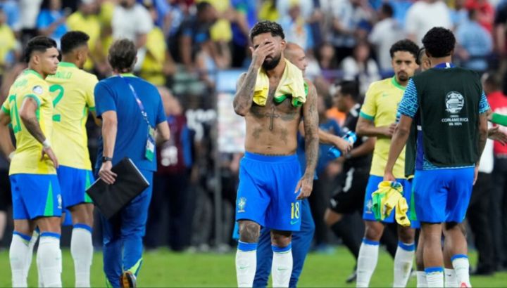 Brasil Copa América 2024 Memes
