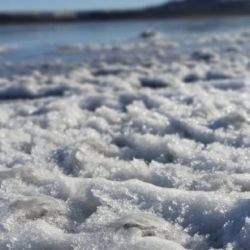 Los vecinos de Zapala se sorprendieron por el fenómeno registrado en la laguna.