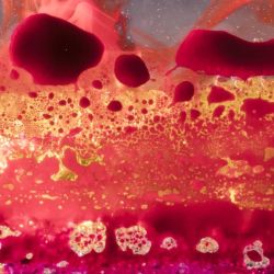Los estudios sugieren que los péptidos de investigación ofrecen una vía prometedora para modular los procesos inflamatorios. | Foto:Goodlymedia