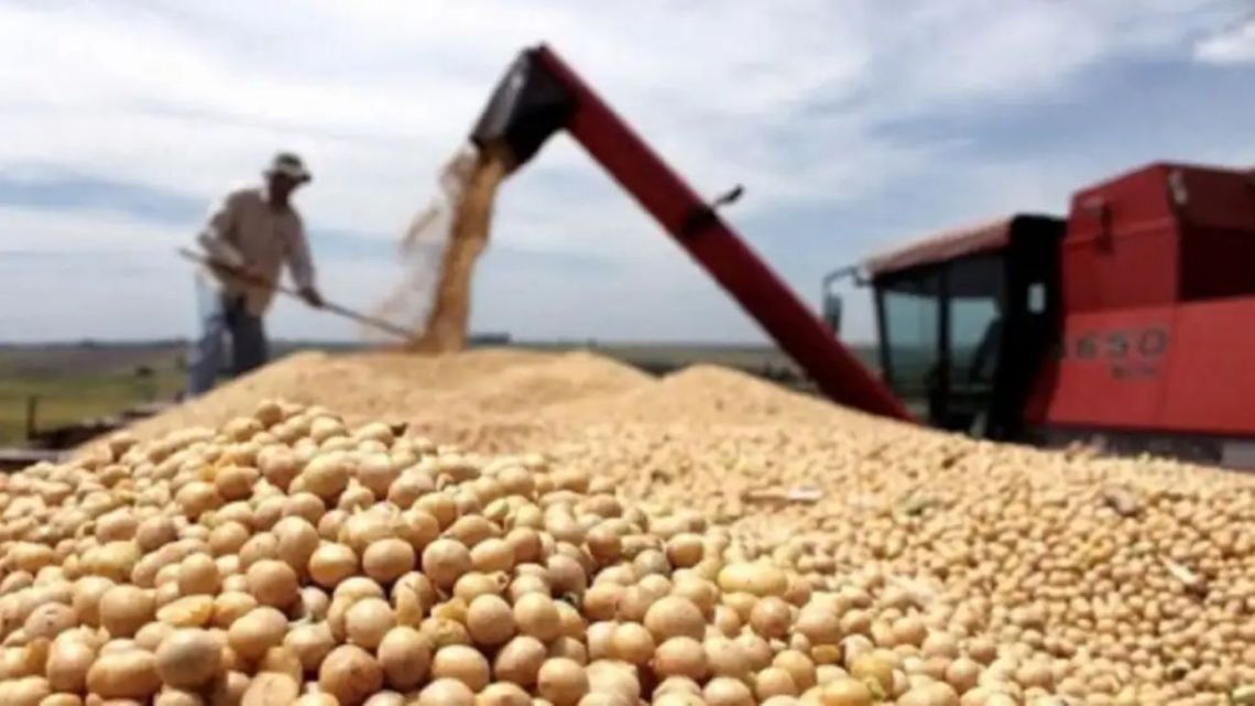 Argentina charges 50% of international price for soybeans: “Without deductions soybeans will produce 65 million tons”