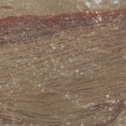 Les peintures rupestres sont en parfait état.