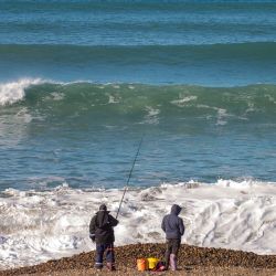 Pescadores provenientes de distintos lados de la provincia de Chubut, Santa Cruz, Neuquén, Río Negro y Chile se apostaron en la extensión de línea de costa de 4 km. 