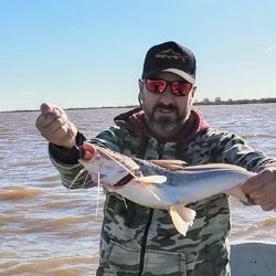 Paties y grandes bagres fueron la alternativa al pejerrey tentados por el filet de sábalo. 