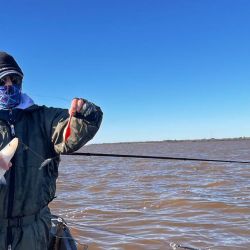El Río de la Plata está en su mejor momento, desde pejerreyes que son la vedette, pasando por las corvinas y hasta los bagres de mar. 