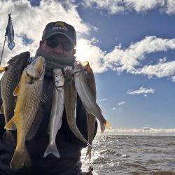 El Río de la Plata está en su mejor momento, desde pejerreyes que son la vedette, pasando por las corvinas y hasta los bagres de mar. 