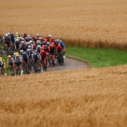 El pelotón de ciclistas pasa por los campos durante la octava etapa de la 111ª edición de la carrera ciclista del Tour de Francia, 183,5 km entre Semur-en-Auxois y Colombey-les-deux-Eglises. | Foto:ANNE-CHRISTINE POUJOULAT / AFP