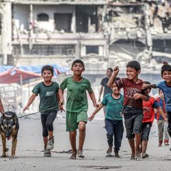 Niños caminan con un perro junto a edificios destruidos a lo largo de una calle en Khan Yunis, en el sur de la Franja de Gaza, en medio del conflicto en curso en el territorio palestino entre Israel y Hamás. | Foto:Bashar Taleb / AFP