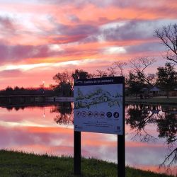 Una serie de situaciones anormales en el cauce se repiten desde la Navidad de 2022 cuando el agua se tiñó de verde debido a una importante floración de cianobacterias. 