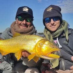 El clima parece cambiar desde este fin de semana y las mínimas, tan bajas, darán un respiro al aficionado. 