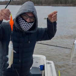 El clima parece cambiar desde este fin de semana y las mínimas, tan bajas, darán un respiro al aficionado. 