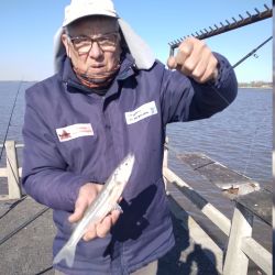 Entrando con waders y ganandole metros al río, o desde los muelles, la chance de dar con pejerreyes está latente. 