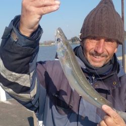 Entrando con waders y ganandole metros al río, o desde los muelles, la chance de dar con pejerreyes está latente. 