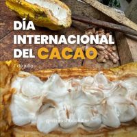 7 de julio: Día Internacional Del Cacao