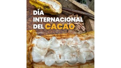 7 de julio: Día Internacional Del Cacao