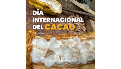 7 de julio: Día Internacional Del Cacao