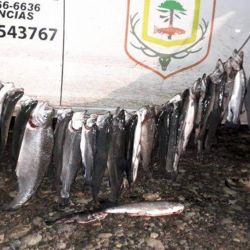 Los pescadores se encontraban incumpliendo la Ley Provincial 2539, por pesca nocturna sin contar con el permiso habilitante reglamentario y correspondiente.