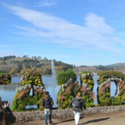 En Tandil se esperan lluvias leves entre el sábado 20 y el domingo 21.