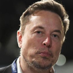 Elon Musk | Foto:CEDOC
