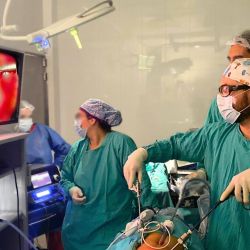 Tratamiento Quirúrgico del Cáncer Renal localizado: En qué consiste una Cirugía laparoscópica de Riñón por el Urólogo Mauro Carrillo | Foto:CEDOC