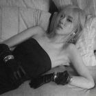 Rosé para SAINT LAURENT