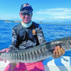 Pez vela: astuto, vivaz, deportivo, las tiene todas. Picó haciendo trolling  con carnada natural. 