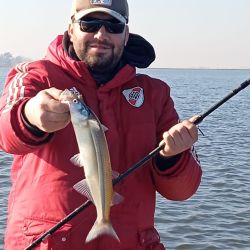 Tras una temporada con altibajos desde la costa, esta laguna de Olavarría explotó embarcados. 