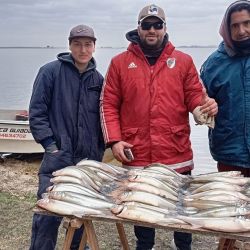 Tras una temporada con altibajos desde la costa, esta laguna de Olavarría explotó embarcados. 