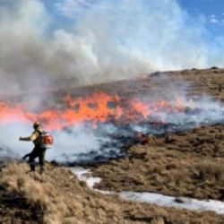 Todavía quedan muchos focos de fuego activos.