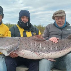 Un surubí superó los 55 kilos y se convirtió en el récord de la temporada para los amigos de Florencia Lodge.
