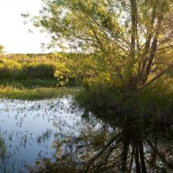 De las 119 resrvas privadas que hay actualmente en el país, un poco más de 30 están aptas para recibir y realizar turismo.