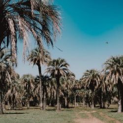 RARNP es un movimiento voluntario de conservación en tierras privadas que contribuye a la conservación efectiva y uso sustentable de los valores naturales y culturales del territorio nacional,