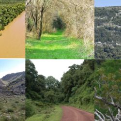 Actualmente, está conformada por 111 reservas privadas y 10 organizaciones conservacionistas.