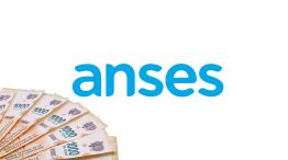 Anses