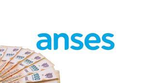 Anses