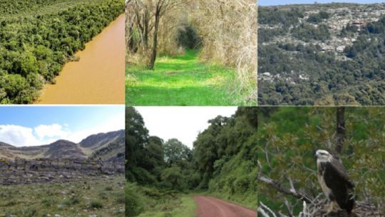 La Red Argentina de Reservas Naturales Privadas cumplió sus primeros y fructíferos 10 años de vida1