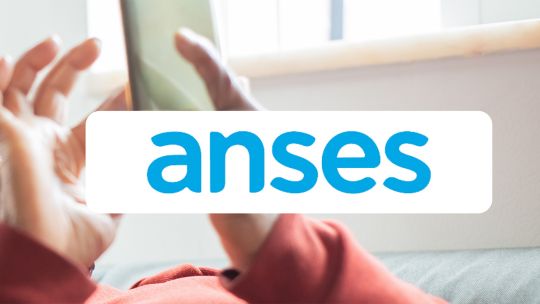 Anses