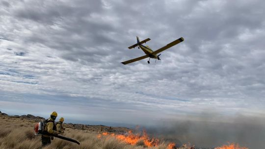 Incendios en Córdoba: casi 300 bomberos inician el cuarto día consecutivo de lucha contra el fuego en el Cerro Champaquí