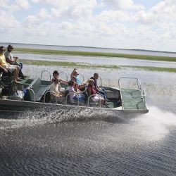 Florida Central ofrece muchas aventuras para disfrutar durante todo el año.