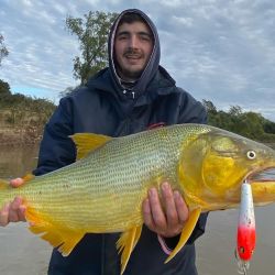 Julio transita con una pesca de dorados increíble en muchos destinos de la Cuenca del Plata.