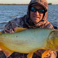 Julio transita con una pesca de dorados increíble en muchos destinos de la Cuenca del Plata.