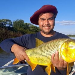 Julio transita con una pesca de dorados increíble en muchos destinos de la Cuenca del Plata.