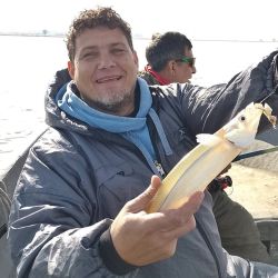 El buen clima de los últimos días favoreció el pique en todos los ámbitos del país.