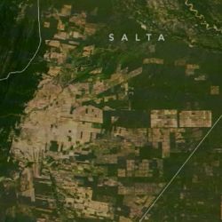 La NASA estudia los jaguares en el Chaco argentino a través de satélites.