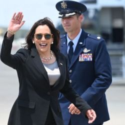 Kamala Harris posible candidata.