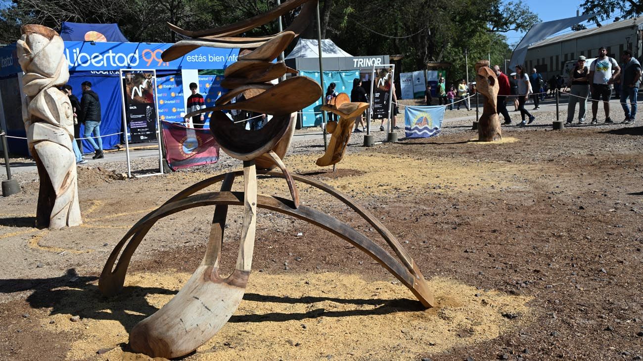 La obra ganadora del "Premio Desafío Hierros Líder", realizada por los estudiantes de la Facultad de Arte y Diseño de la Universidad Nacional de Misiones.