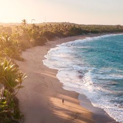 Cayo Arena, Punta Cana y Cabarete son algunos de los destacados de República Dominicana.