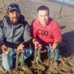 La Cuenca del Plata atraviesa un buen momento, las lagunas están en ascenso y en el mar, prevalece el pejerrey. 