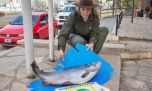 Pesca furtiva: multan a un aficionado con una trucha de 10 kilos 
