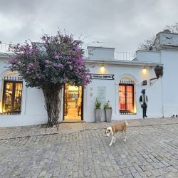 Colonia del Sacramento tiene nuevas formas de descubrirla y disfrutarla.