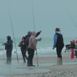 Tanto el pejerrey manila como el escardón fueron las vedettes en las últimas horas. Además, los panzones aparecieron en buenos tamaños. 